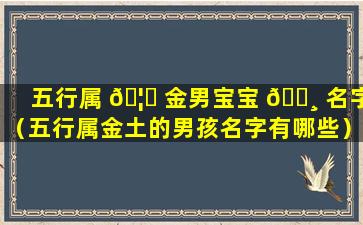 五行属 🦄 金男宝宝 🌸 名字（五行属金土的男孩名字有哪些）